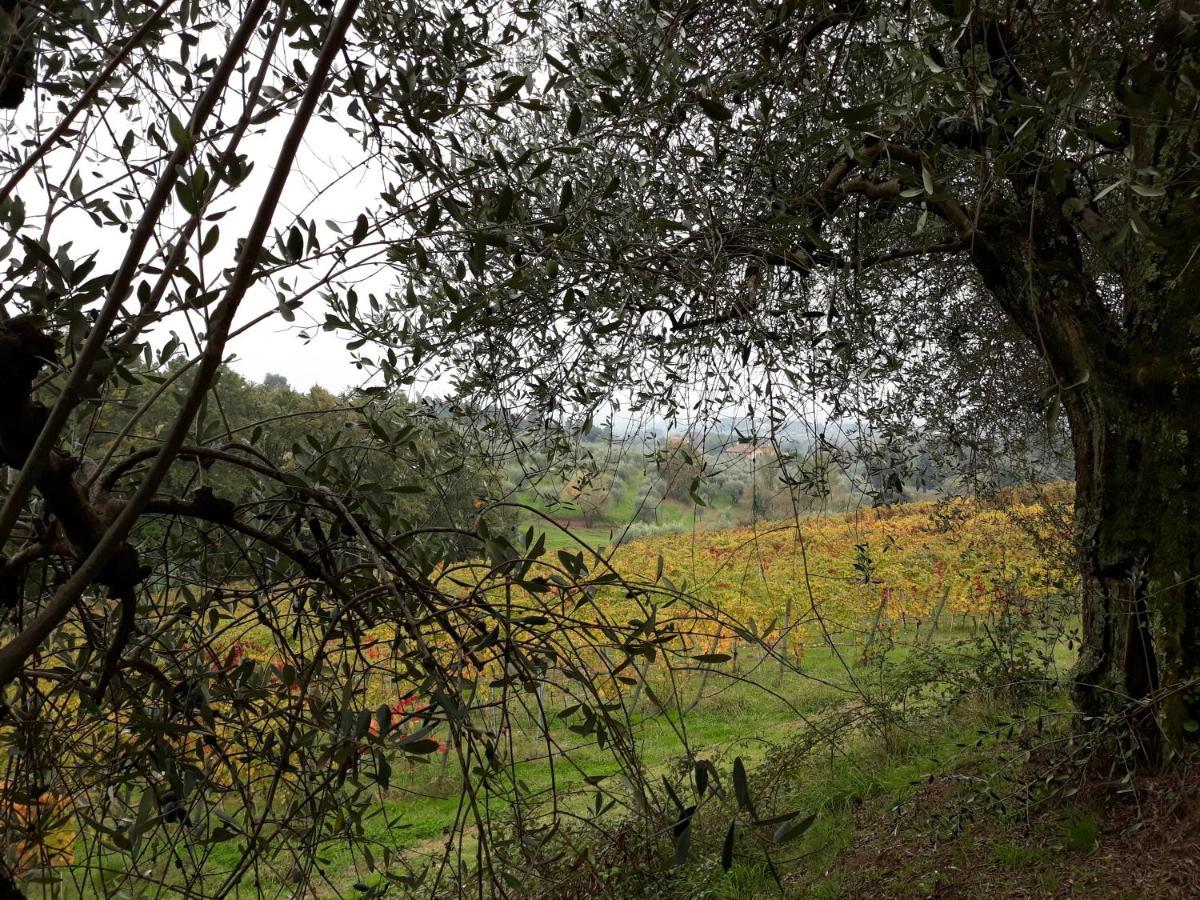 La Torre Wine