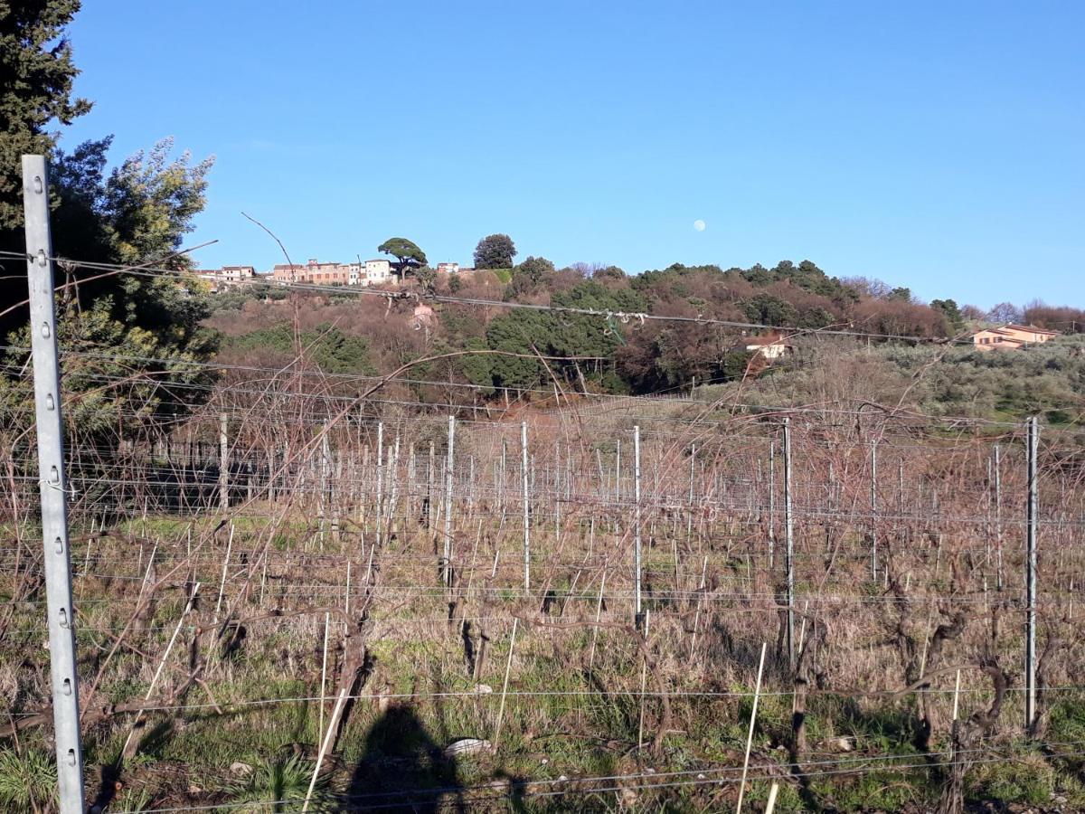 La Torre Wine *
