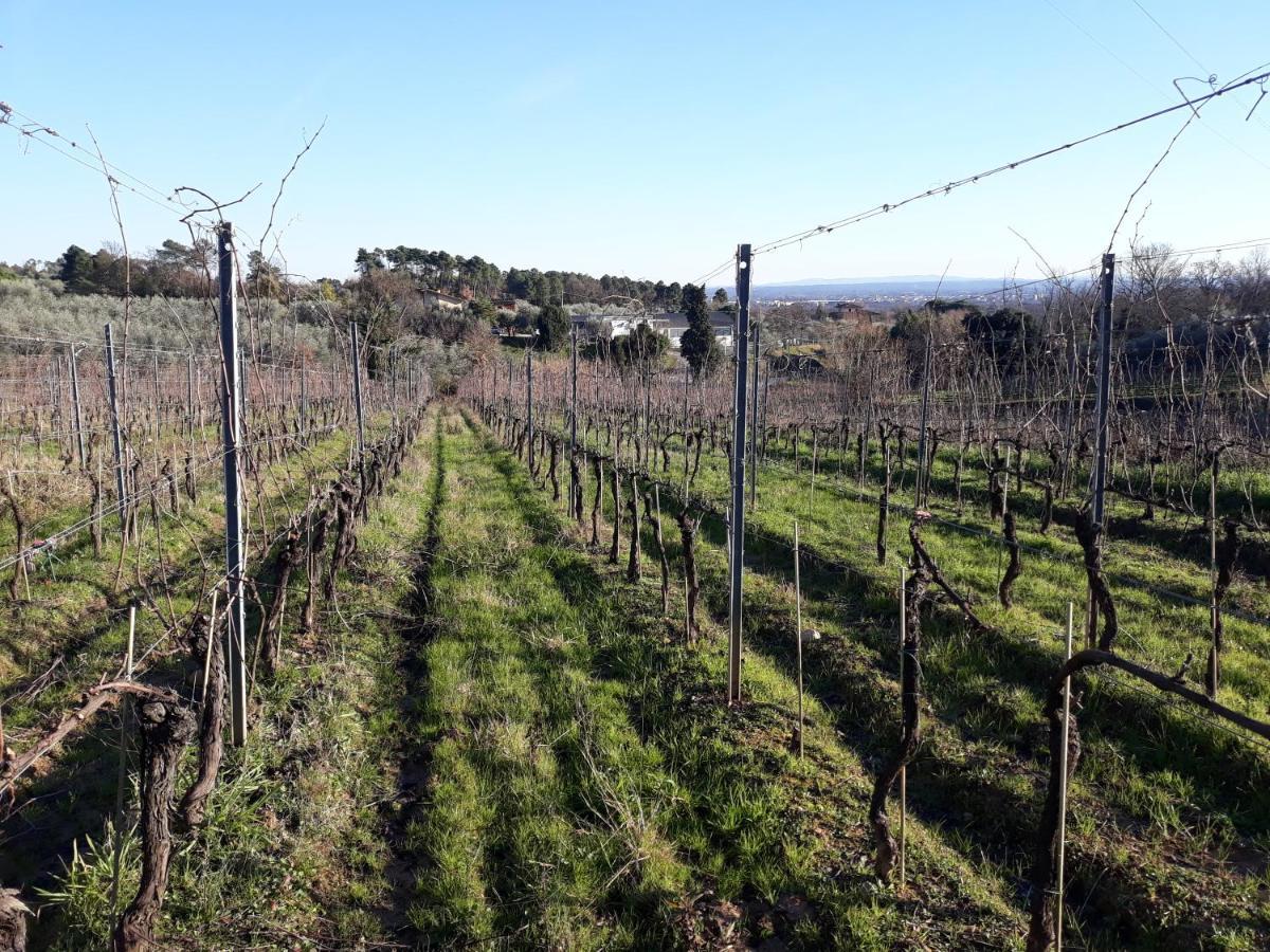 La Torre Wine Landhaus