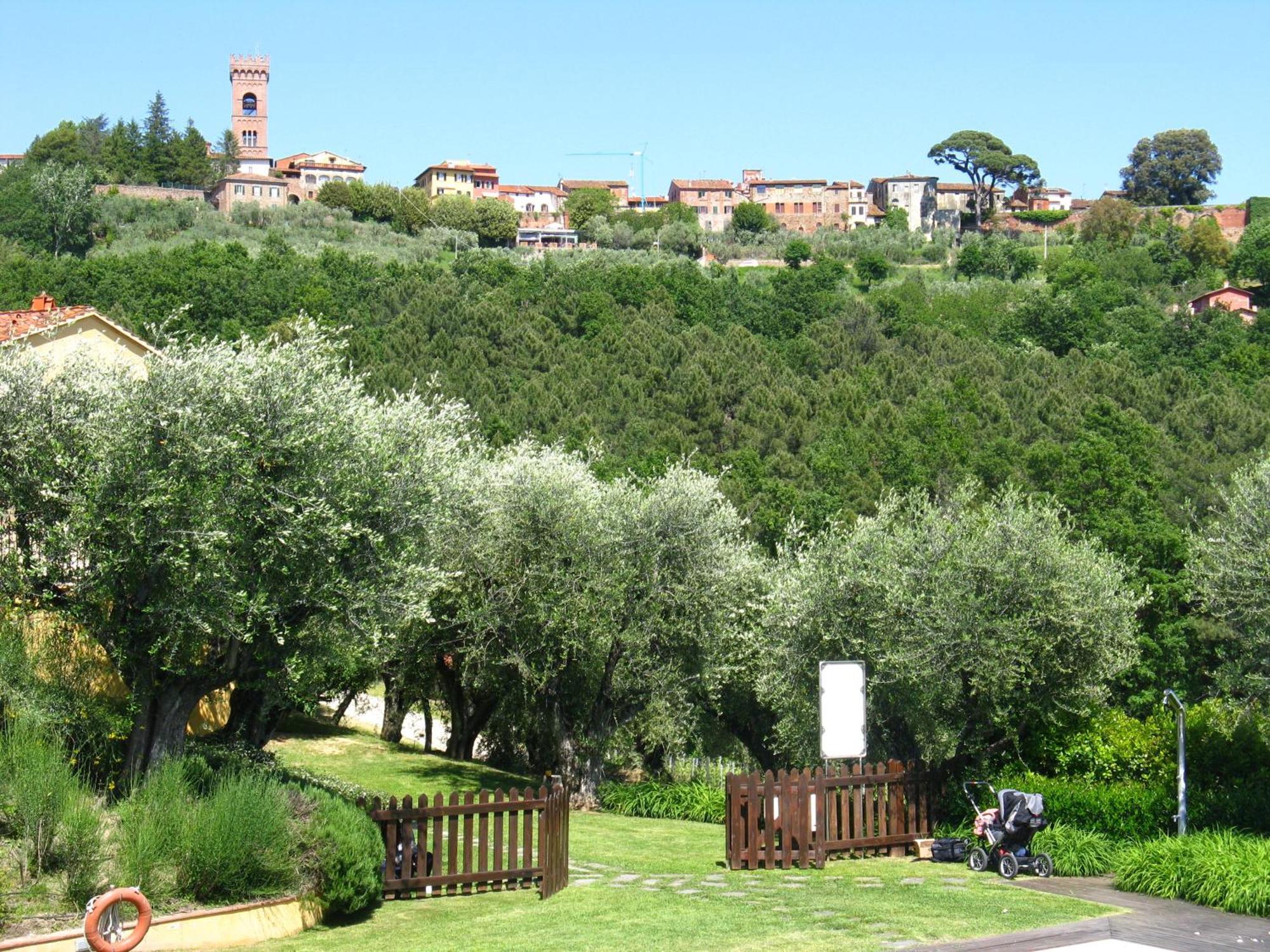 La Torre Wine